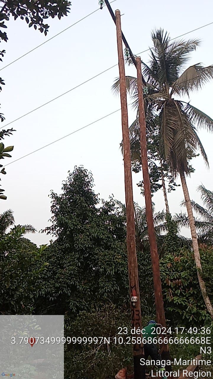 Description de l'image